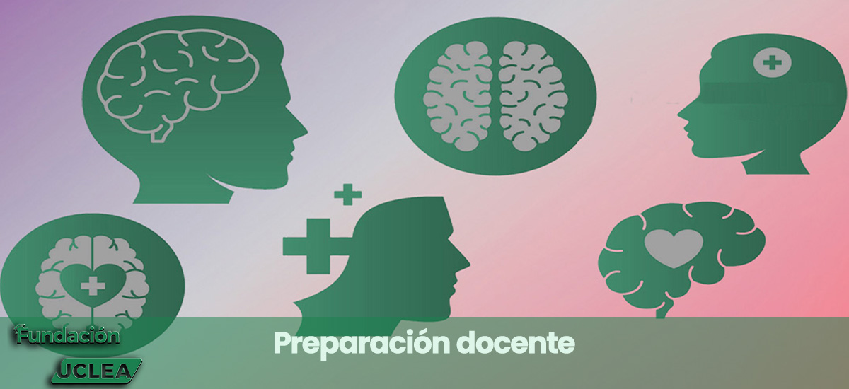 02c peparacion docente